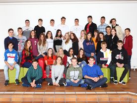 1 HLA